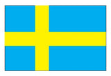 National / Assorted Flags - 6' x 3' / 5' x 3' / 2' x 3'