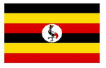 National / Assorted Flags - 6' x 3' / 5' x 3' / 2' x 3'