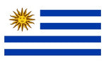National / Assorted Flags - 6' x 3' / 5' x 3' / 2' x 3'